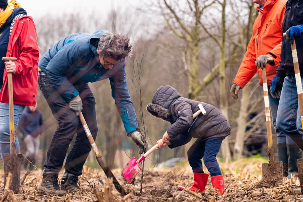 Un adulte et un enfant plantent un arbre dans la nouvelle forêt DHL